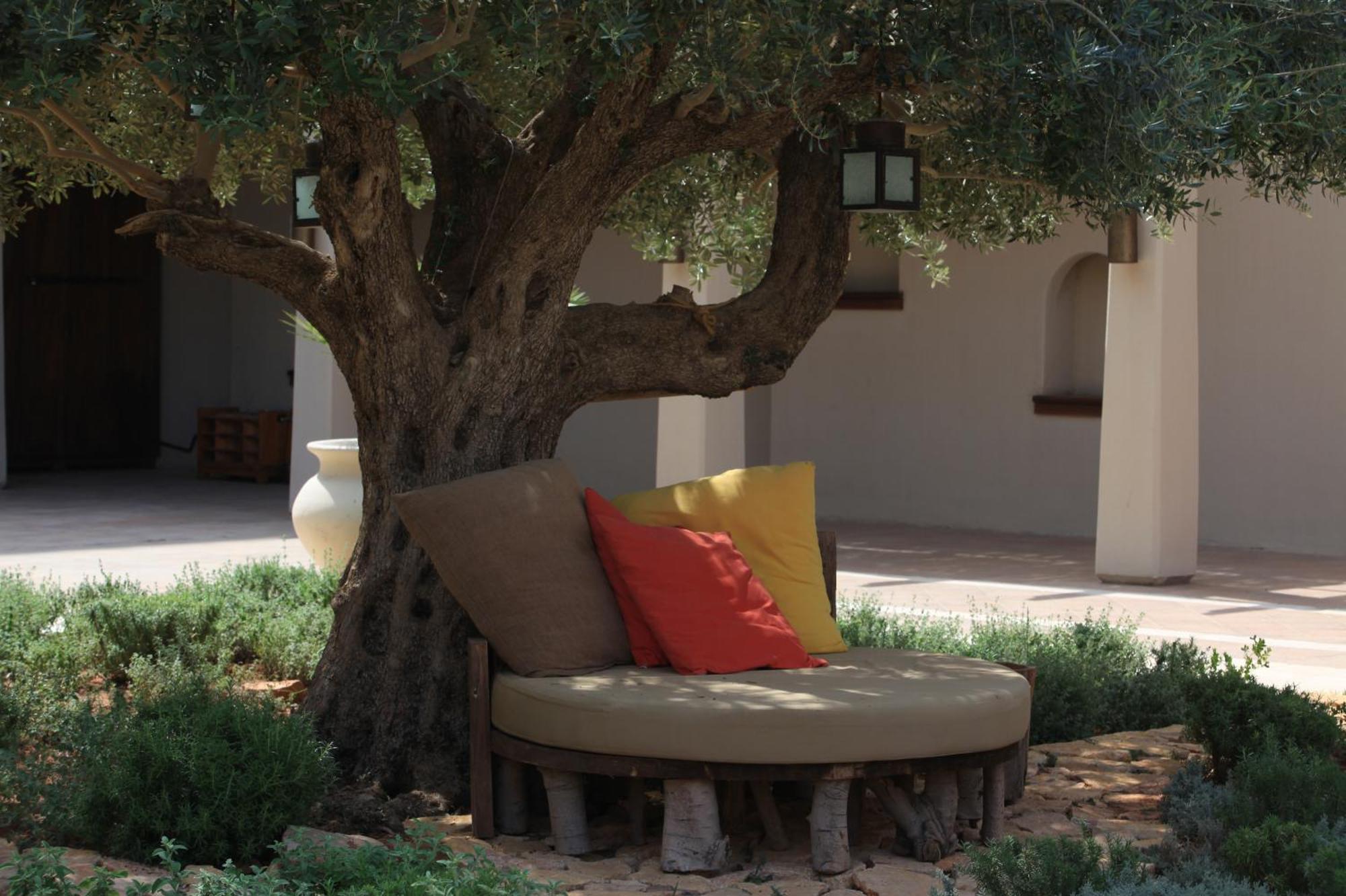Hotel Ma'In Hot Springs Esterno foto A bench in the garden